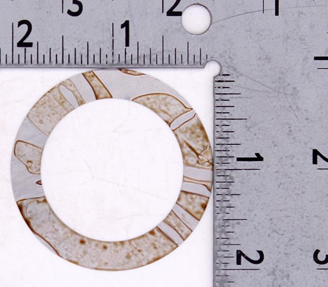 しーま Shim Part Number - 313196 For OMC | eBay